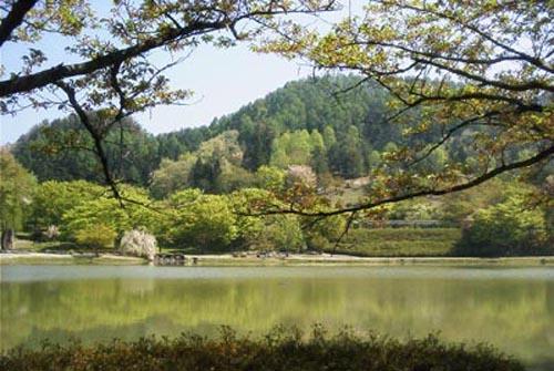Seishokan Higashine Buitenkant foto